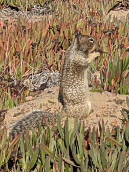 2024-10-18_01.31.20_handy