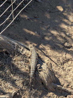 2024-10-18_21.59.06_handy