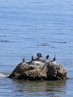 2024-10-19_22.31.50_handy