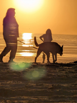 2024-10-20_03.05.03_handy