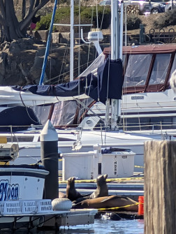 2024-10-20_20.49.34_handy