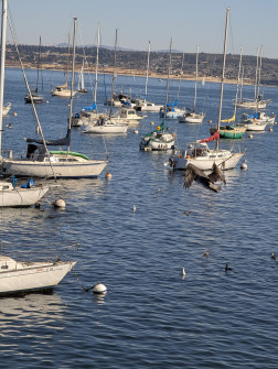 2024-10-20_21.48.52_handy