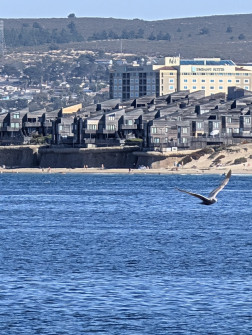 2024-10-20_23.23.41_handy