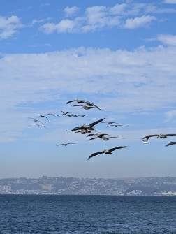 2024-10-25_23.01.10_handy